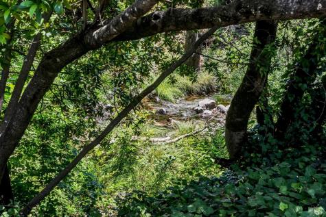 264 Los Alamos Road Santa Rosa CA 95409