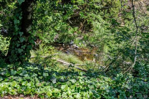 264 Los Alamos Road Santa Rosa CA 95409