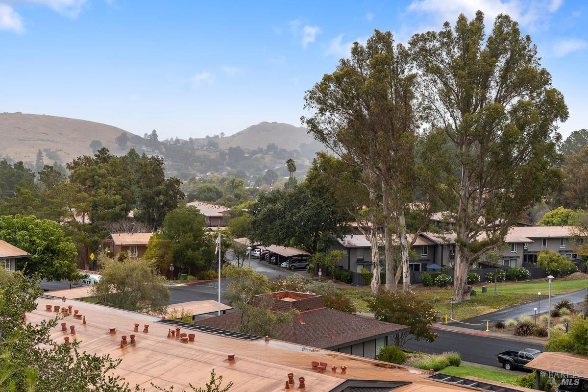 203 Sylvia Way San Rafael CA 94903