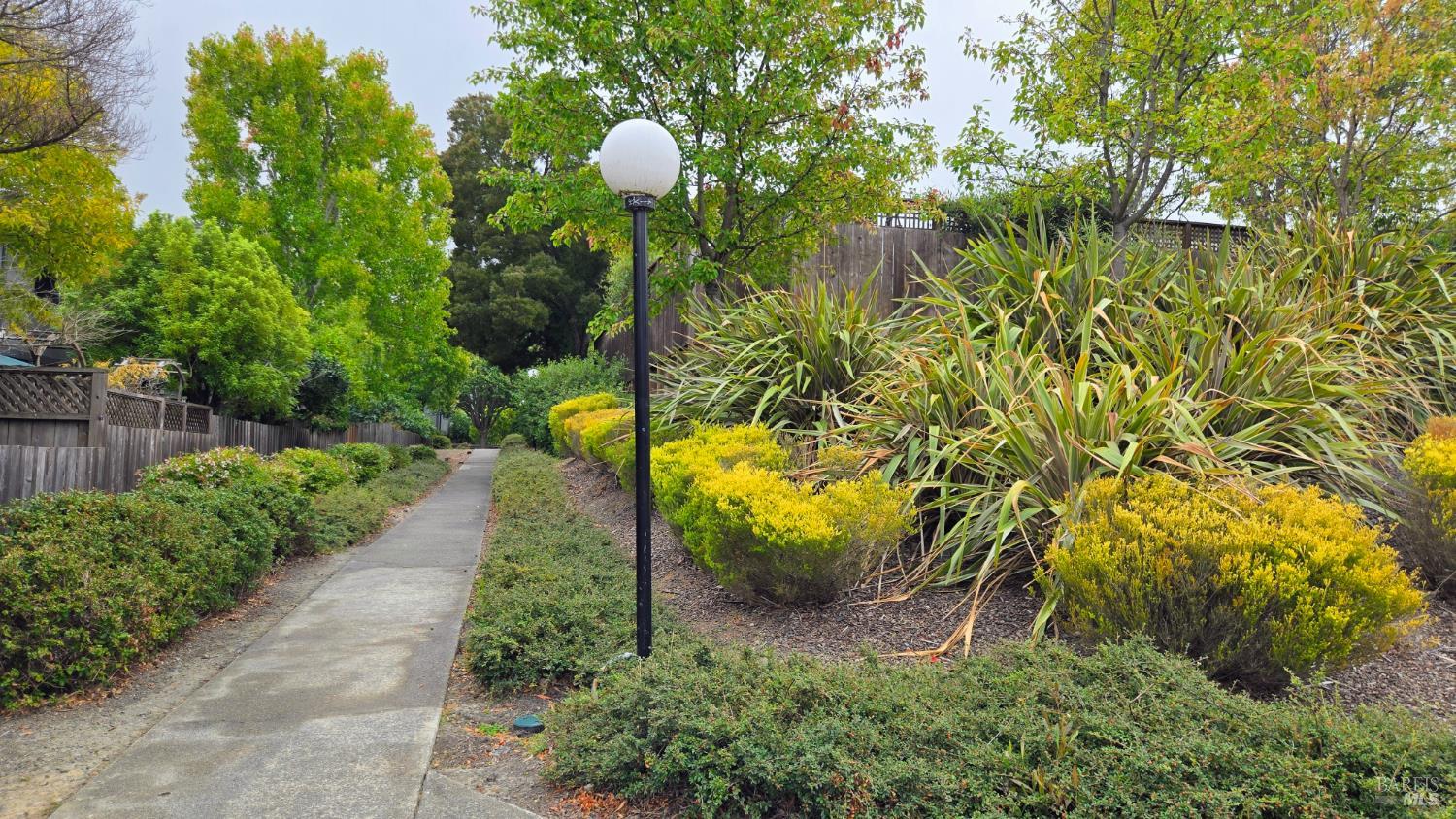 203 Sylvia Way San Rafael CA 94903