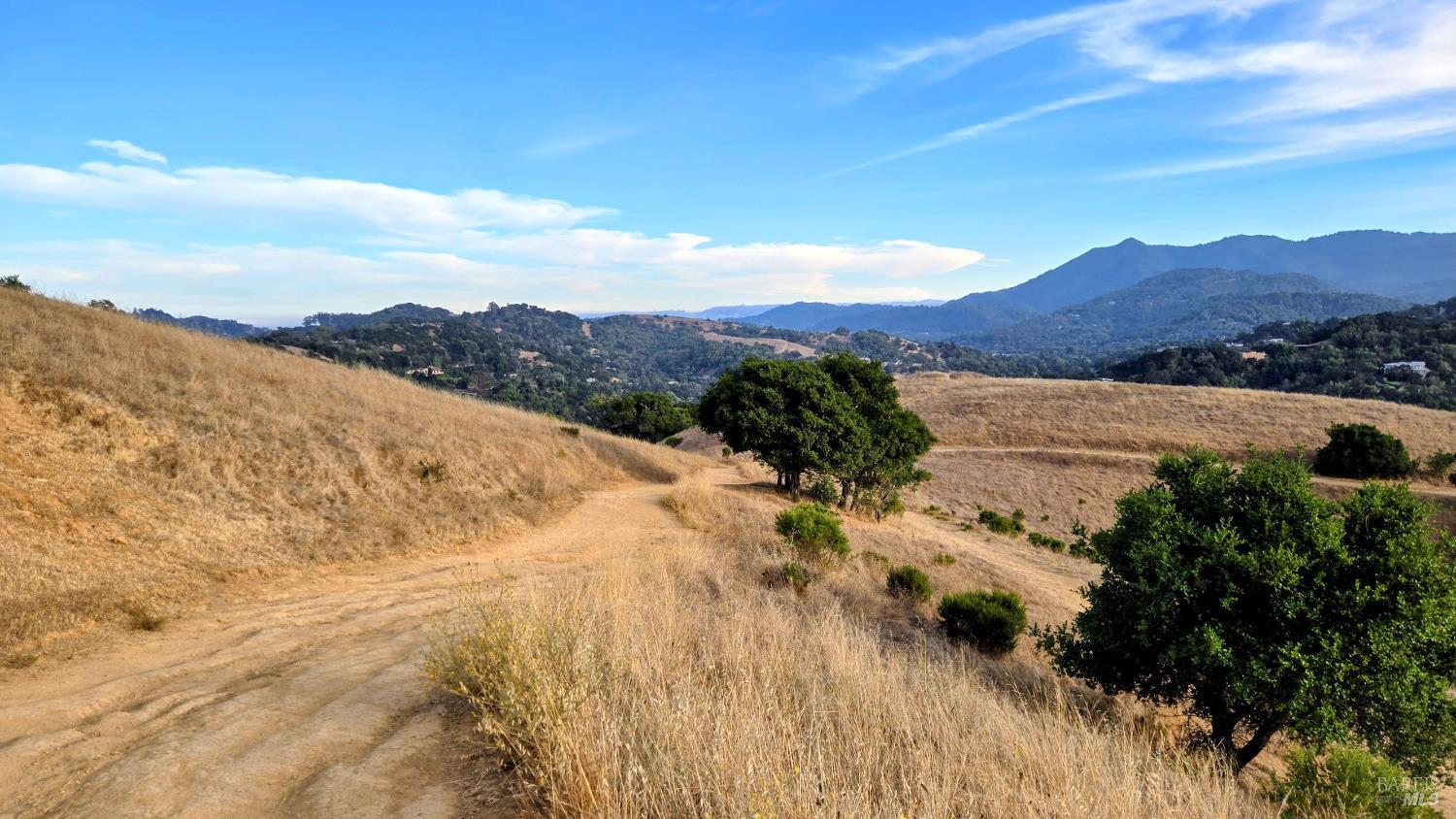 203 Sylvia Way San Rafael CA 94903
