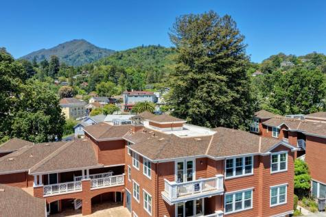 358 Camellia Circle Larkspur CA 94939