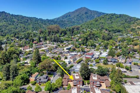 358 Camellia Circle Larkspur CA 94939
