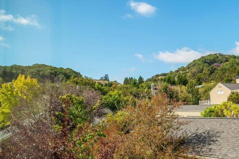 41 Parkview Circle Corte Madera CA 94925