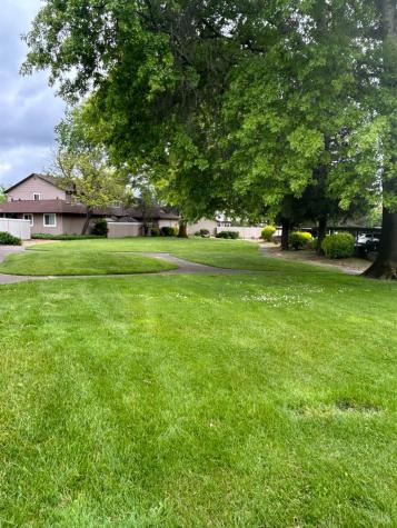 311 Algiers Court Santa Rosa CA 95409