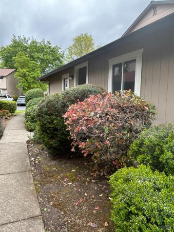 311 Algiers Court Santa Rosa CA 95409