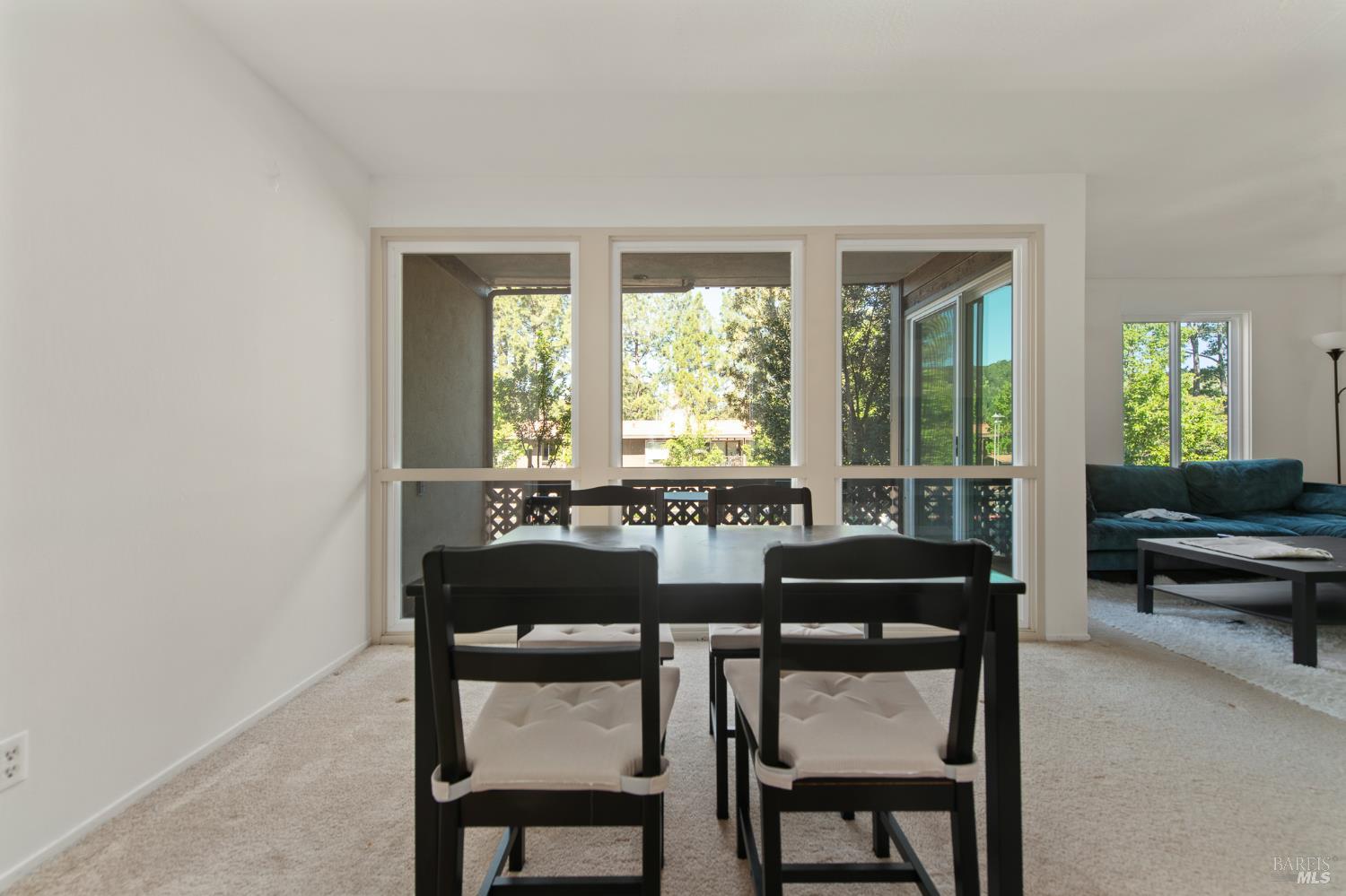 88 Forest Lane San Rafael CA 94903