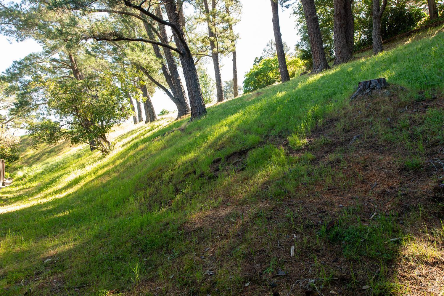 88 Forest Lane San Rafael CA 94903