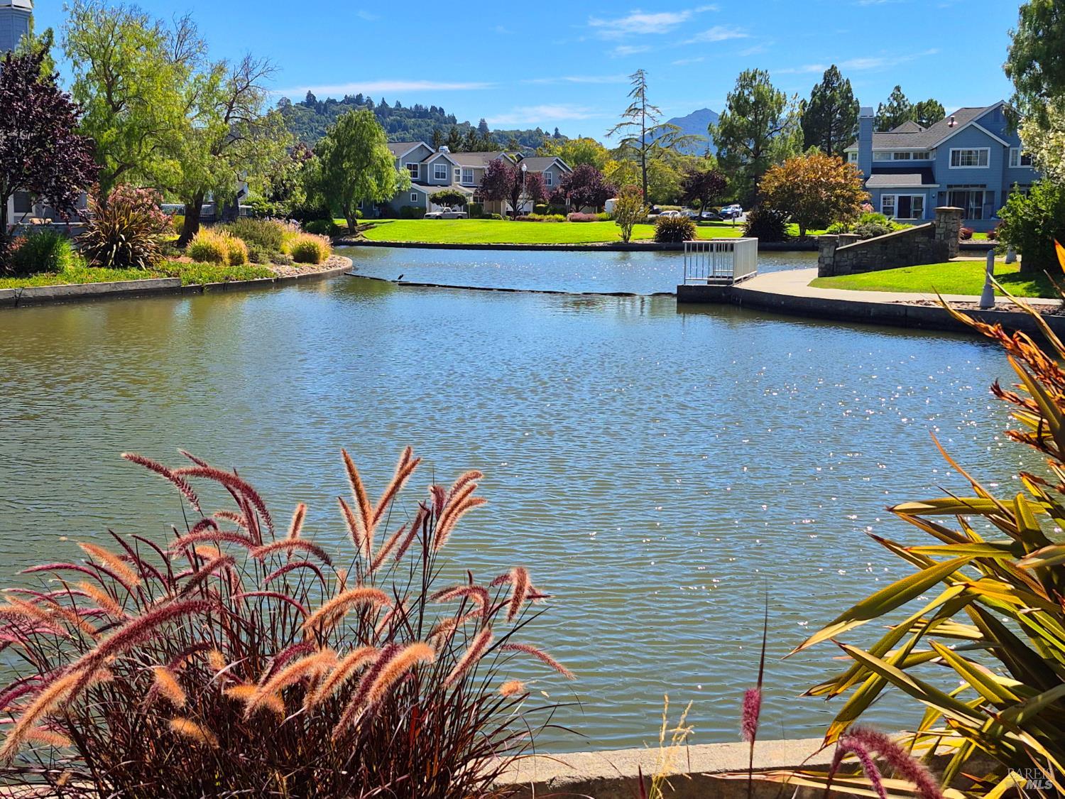66 Mariners Circle San Rafael CA 94903