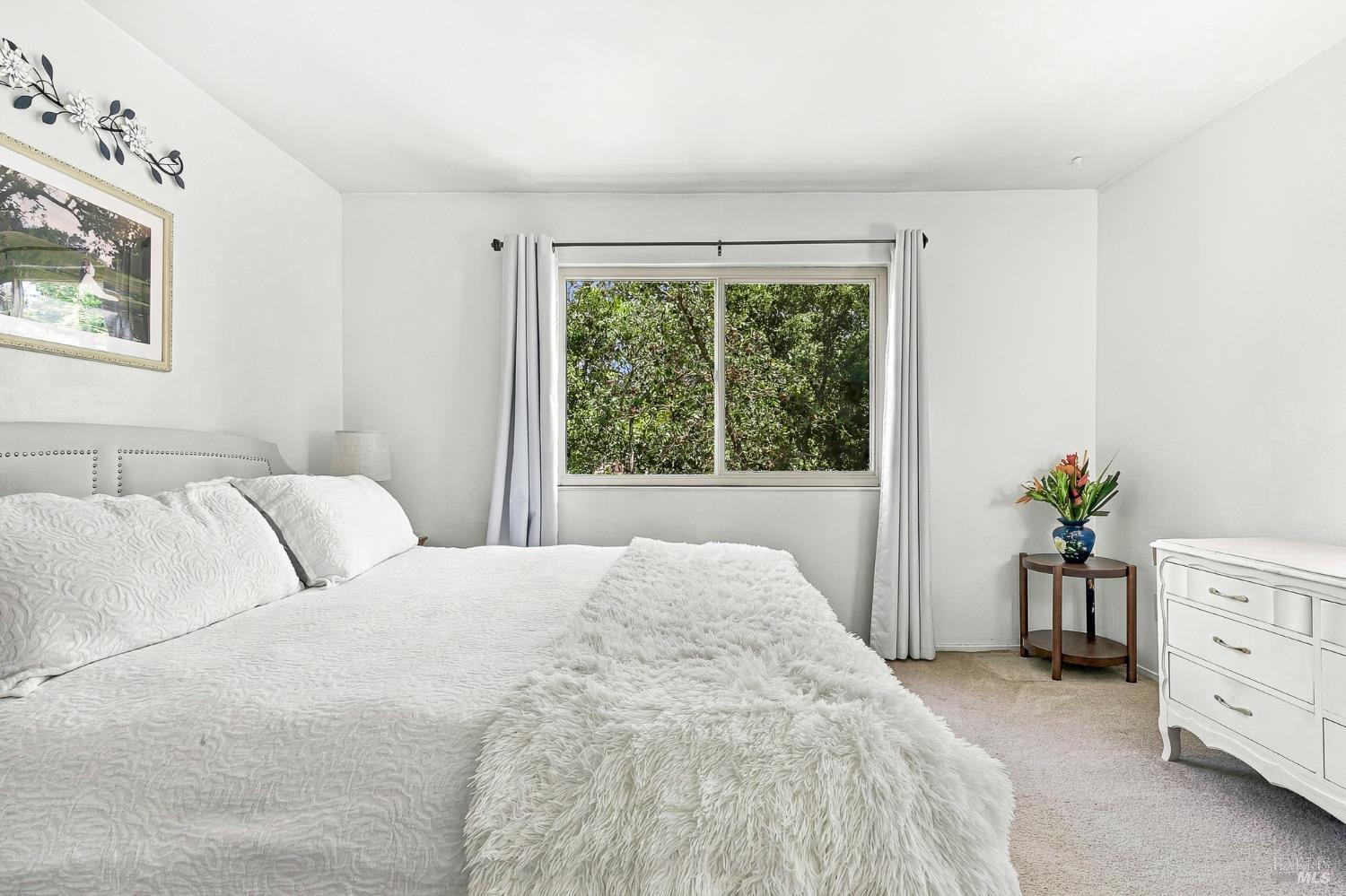1764 Las Raposas Court Santa Rosa CA 95409