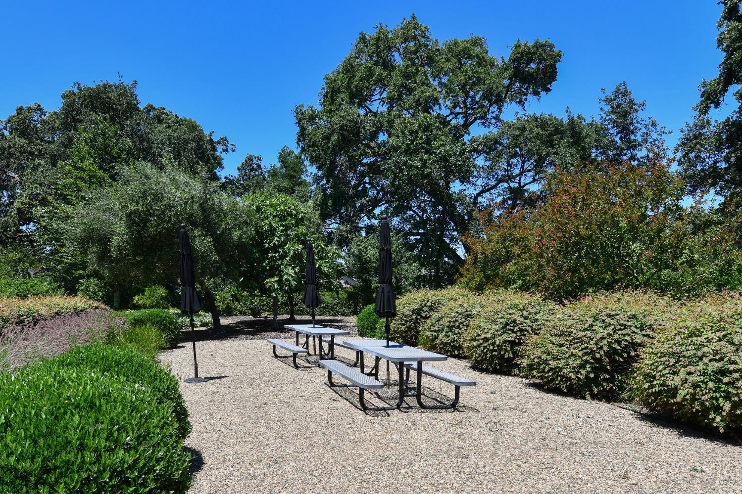 6600 Yount Street Yountville CA 94599
