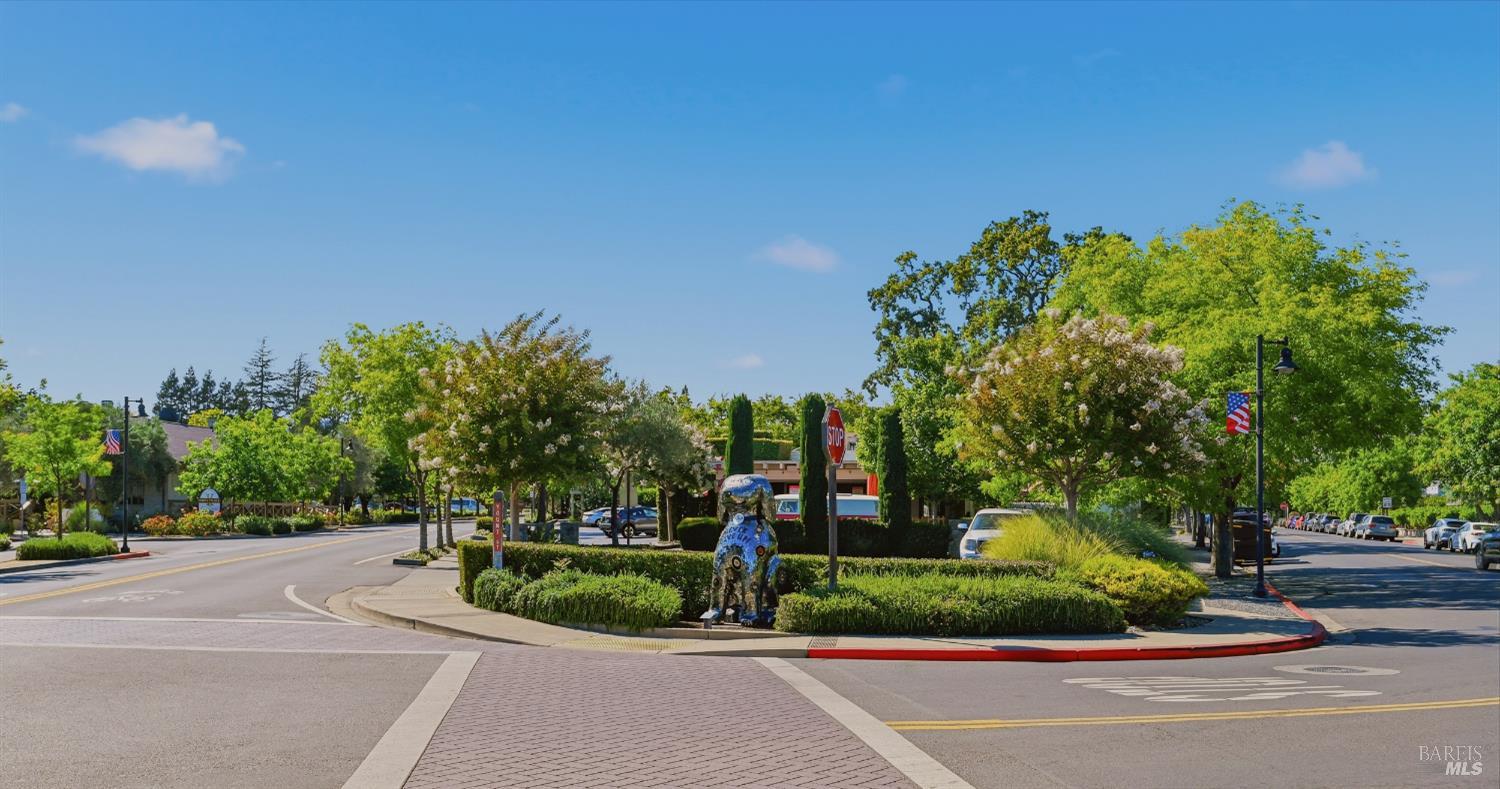 204 Vista Court Yountville CA 94599