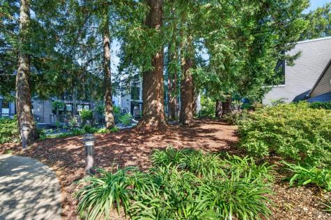 544 Grove Street Healdsburg CA 95448