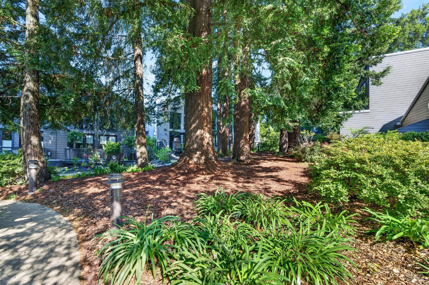 544 Grove Street Healdsburg CA 95448