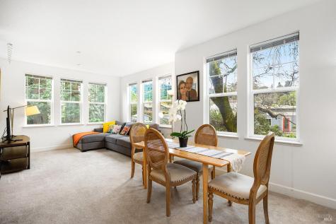 263 Camellia Circle Larkspur CA 94939