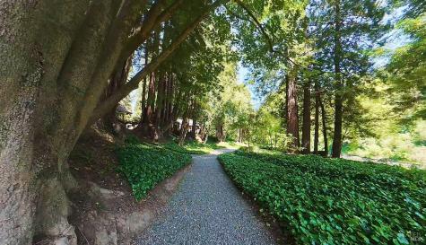17239 Verba Lane Guerneville CA 95446