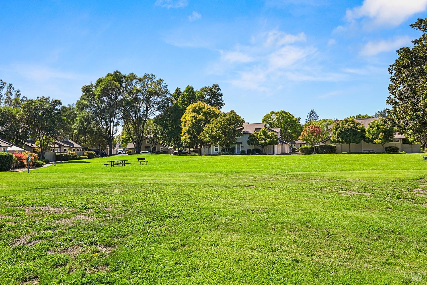 6 Conifer Square Rohnert Park CA 94928