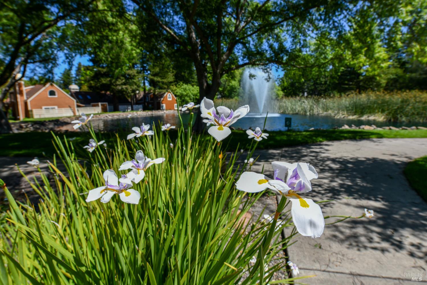 3007 Loma Court Santa Rosa CA 95405