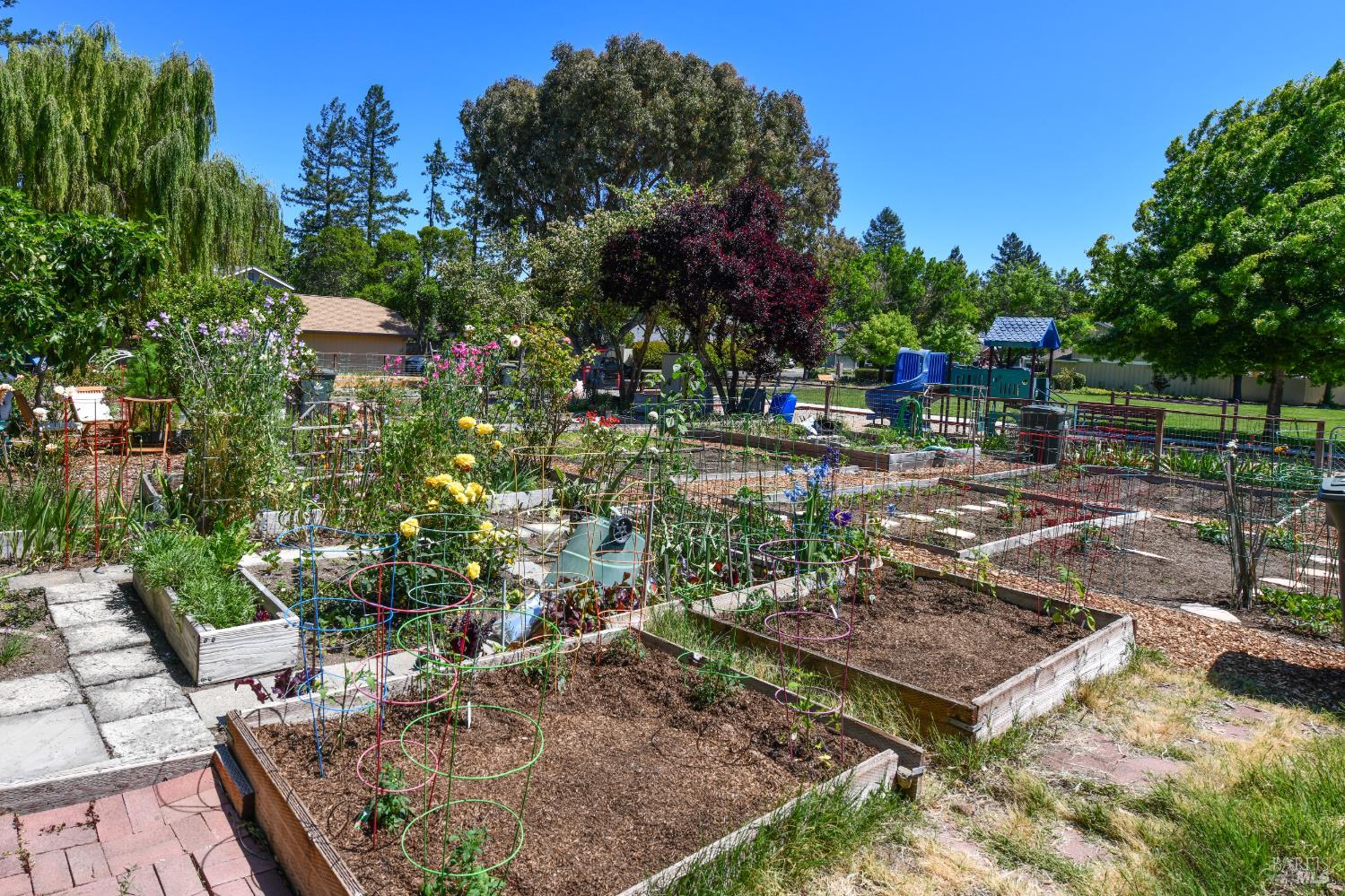 3007 Loma Court Santa Rosa CA 95405