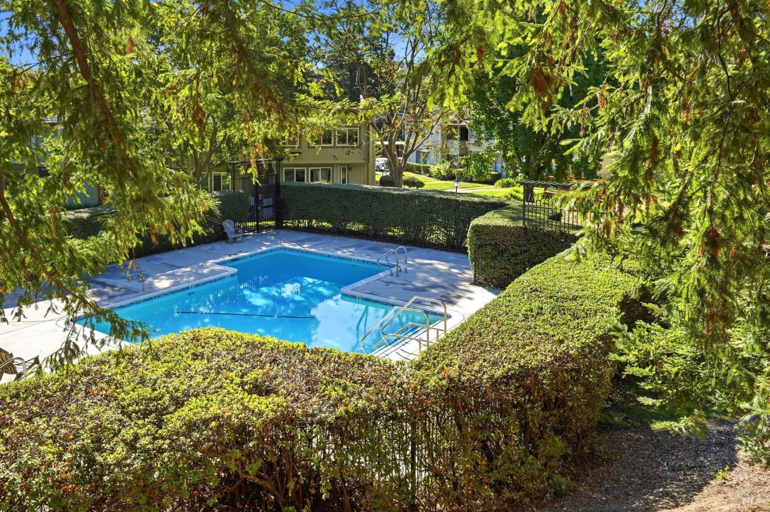 210 Albion Court Novato CA 94947