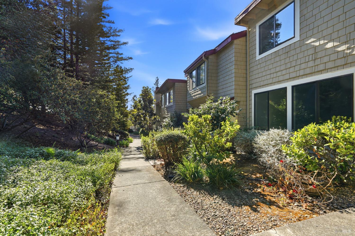 210 Albion Court Novato CA 94947