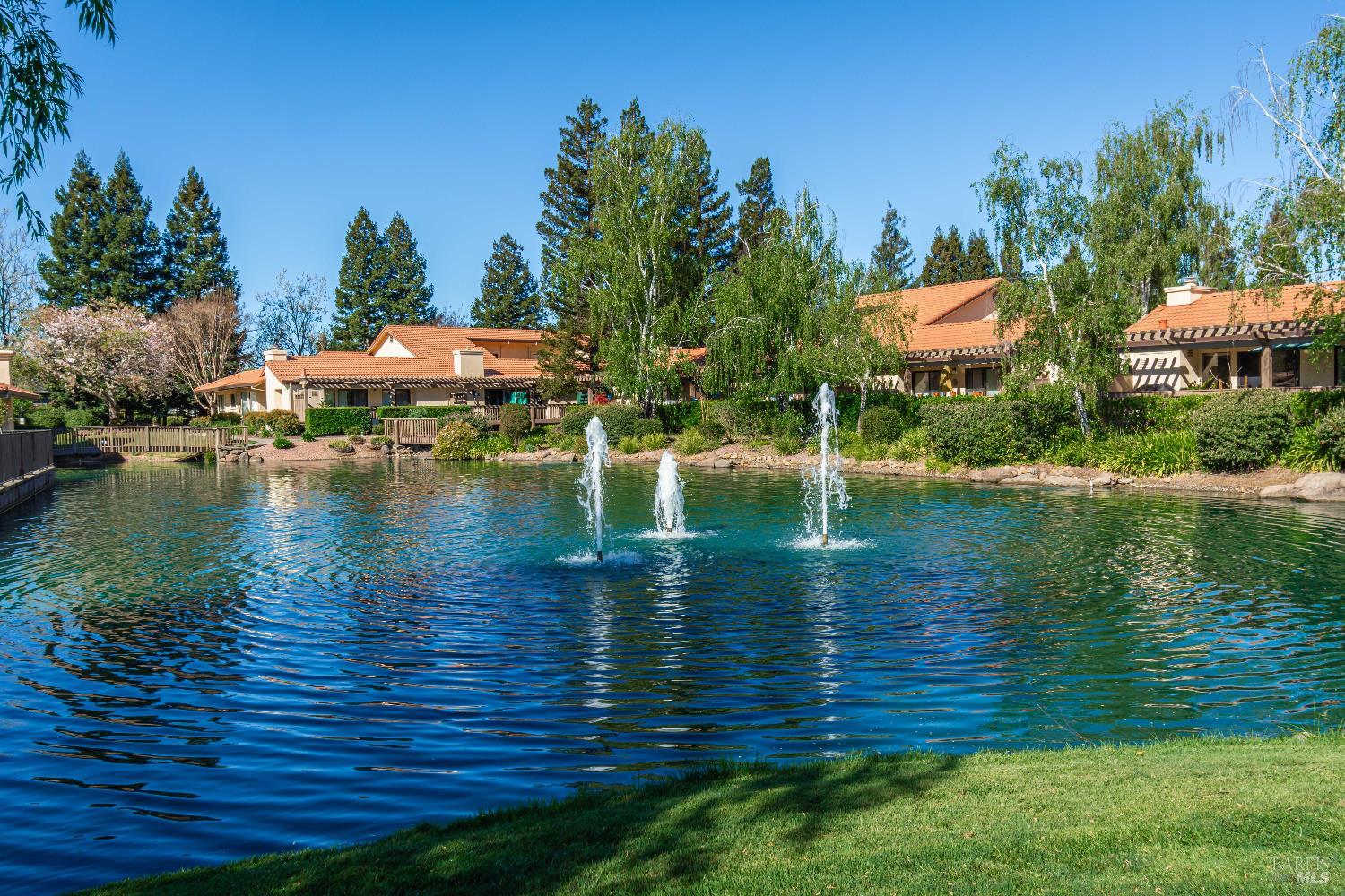 80 Fountain Grove Circle Napa CA 94558