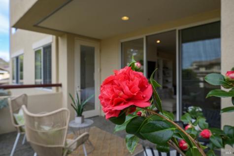 400 Deer Valley Road San Rafael CA 94903