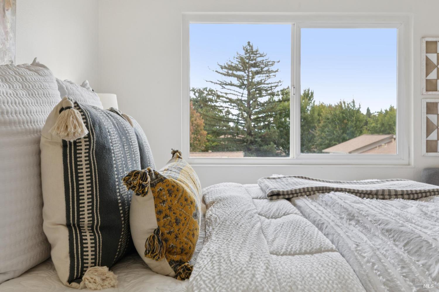 13 Oliva Drive Novato CA 94947