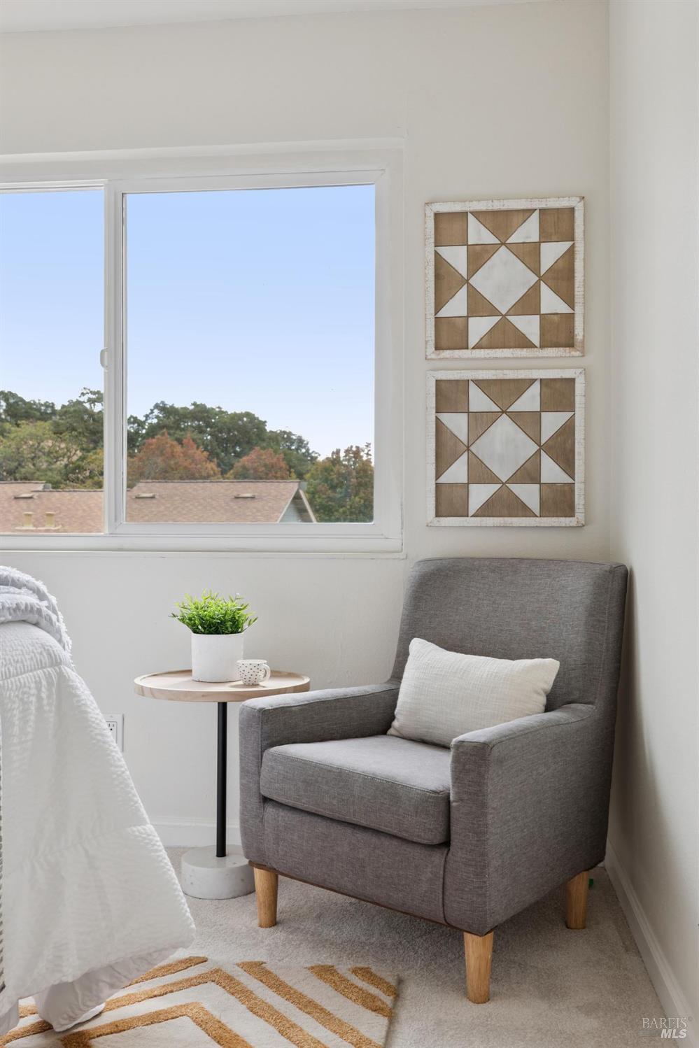 13 Oliva Drive Novato CA 94947