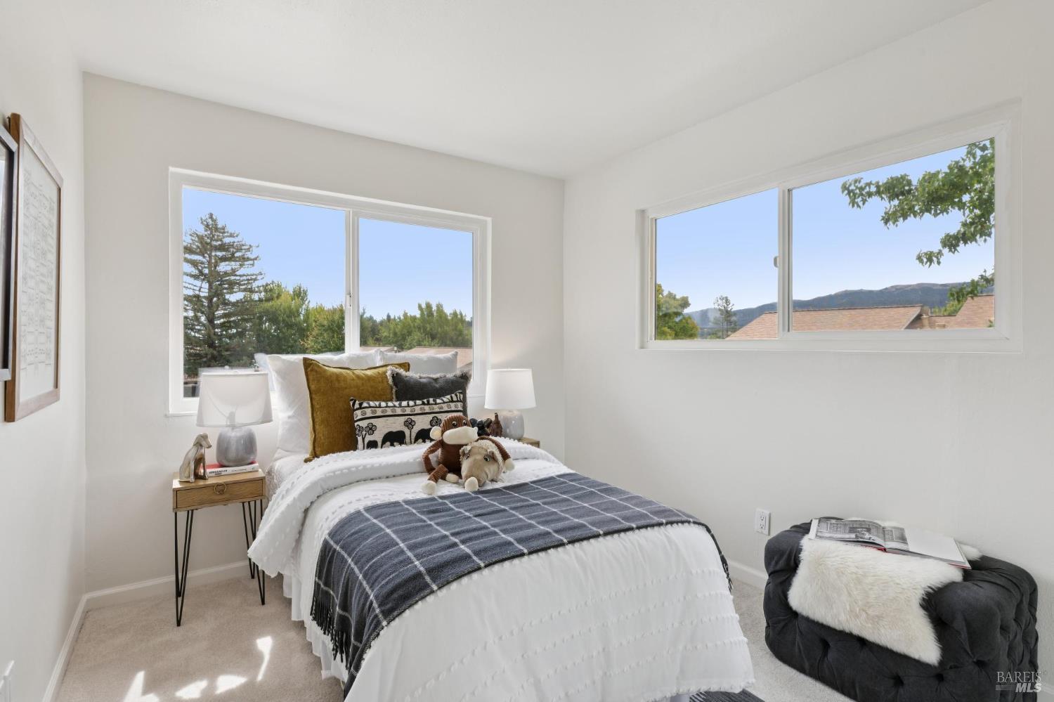 13 Oliva Drive Novato CA 94947