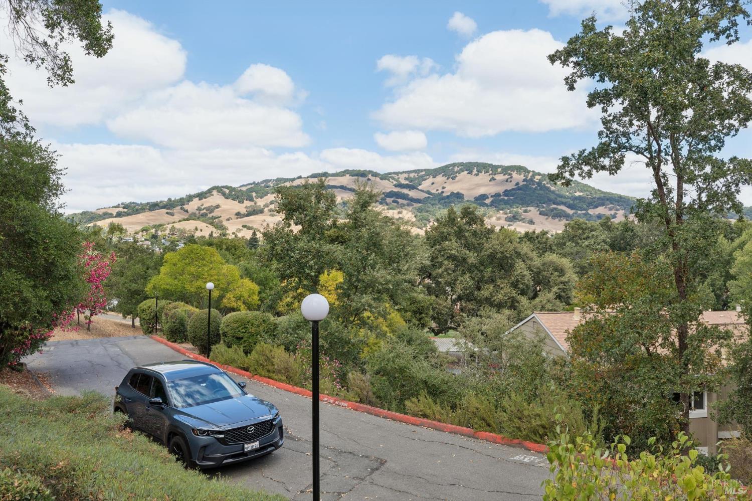 13 Oliva Drive Novato CA 94947