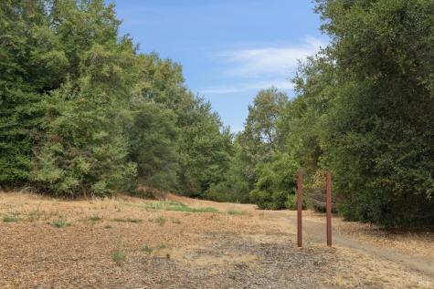 13 Oliva Drive Novato CA 94947