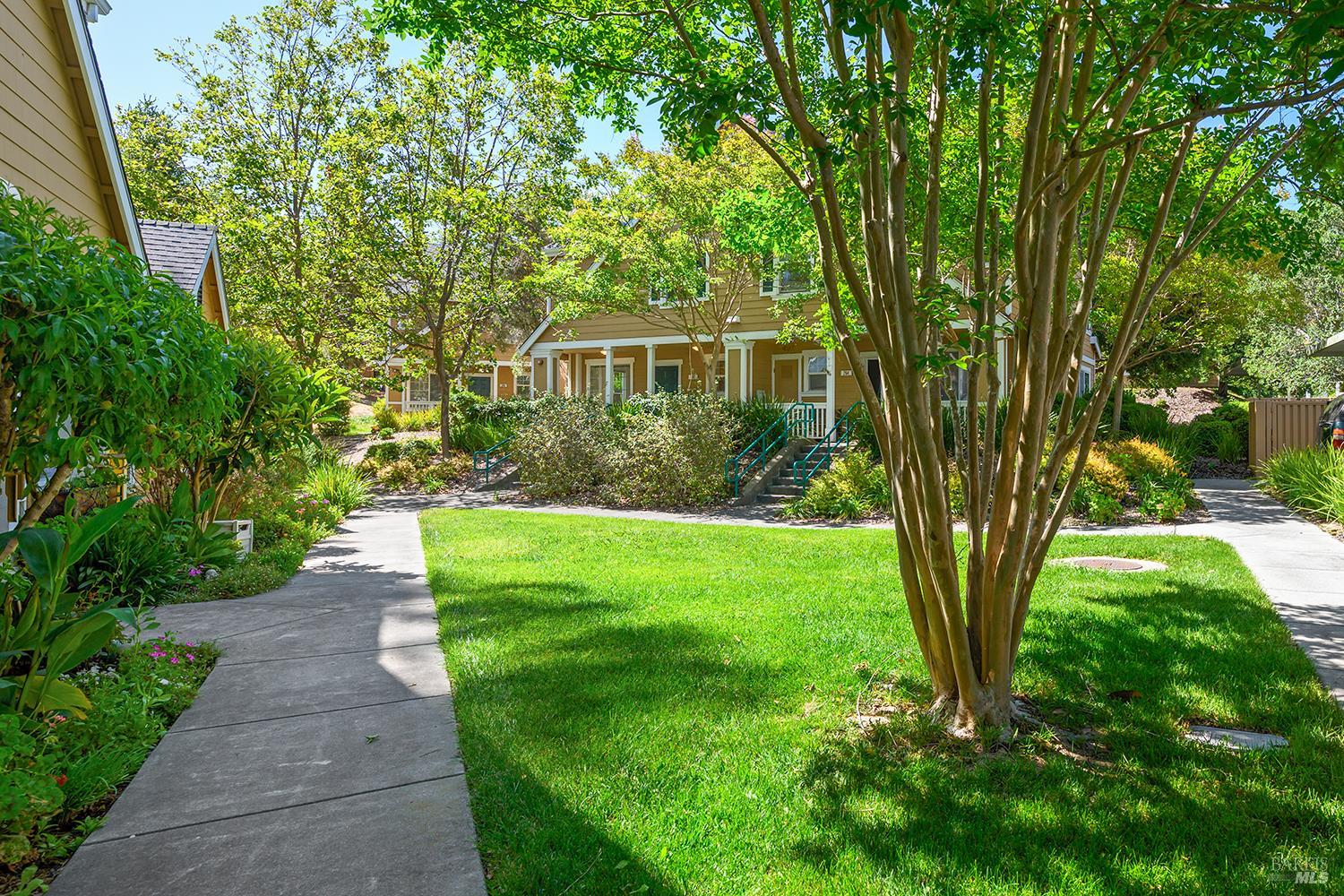 262 Captain Nurse Circle Novato CA 94949