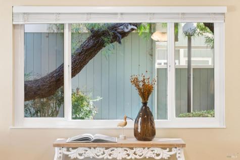 110 Oliva Court Novato CA 94947
