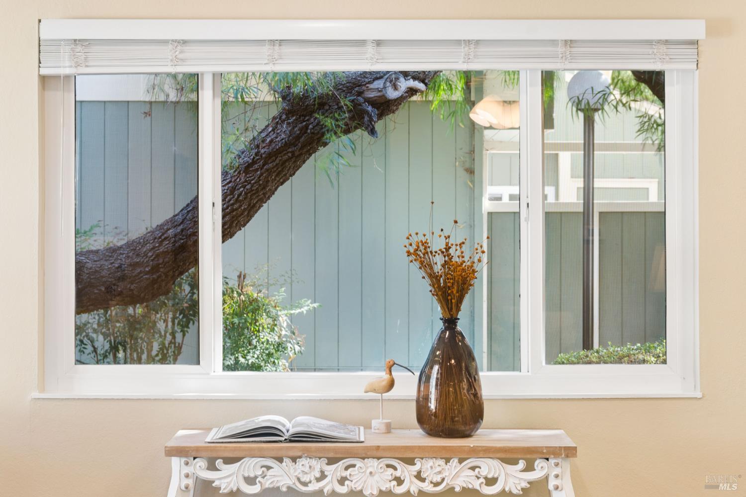 110 Oliva Court Novato CA 94947