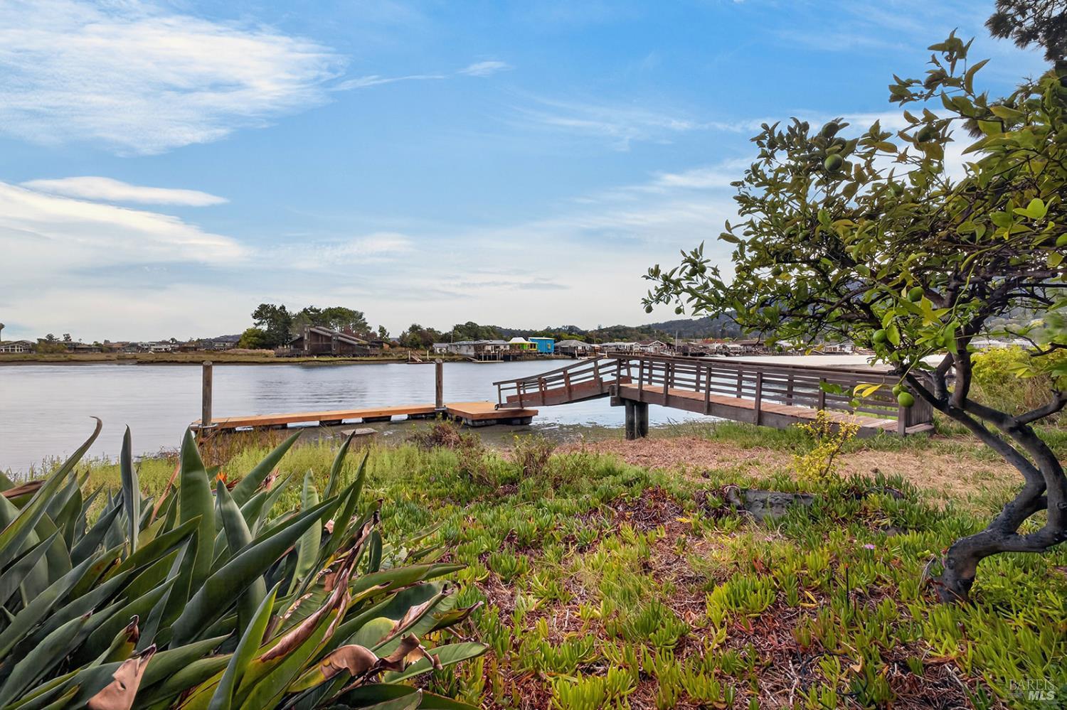 719 S Eliseo Drive Greenbrae CA 94904