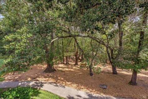 41 Flicker Drive Novato CA 94949