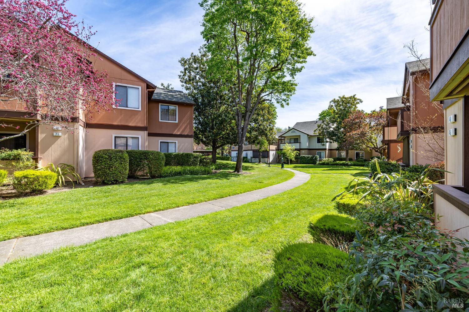 8201 Camino Colegio Rohnert Park CA 94928