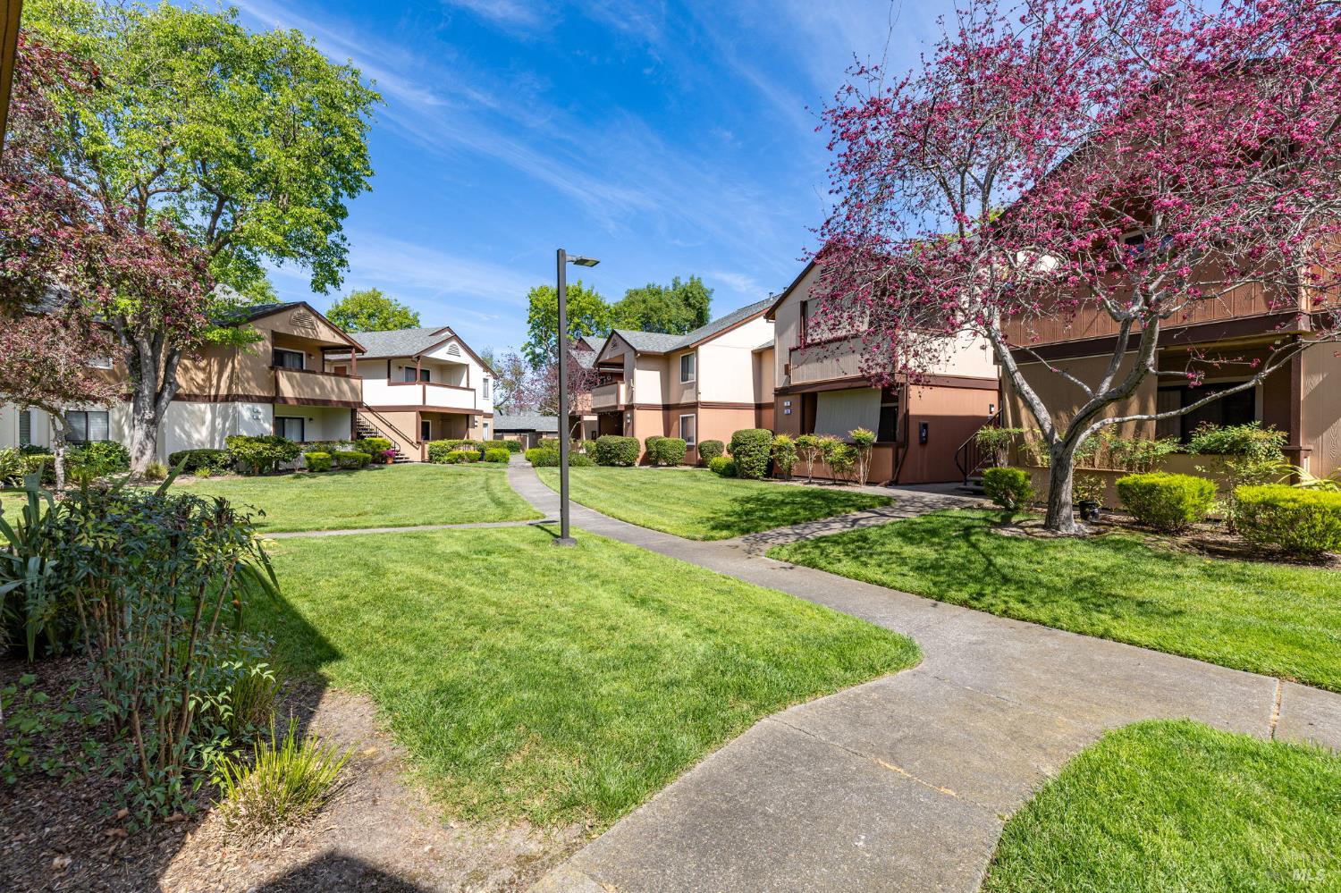 8201 Camino Colegio Rohnert Park CA 94928