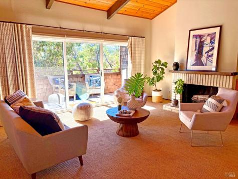 221 El Faisan Drive San Rafael CA 94903