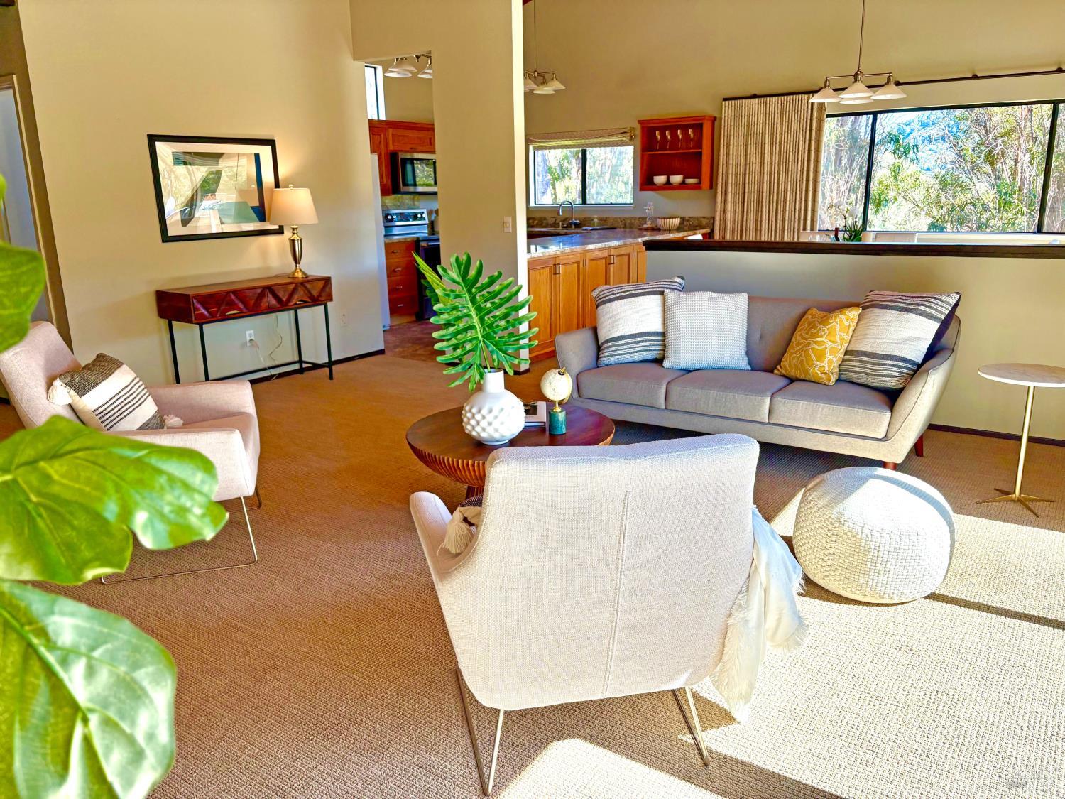 221 El Faisan Drive San Rafael CA 94903