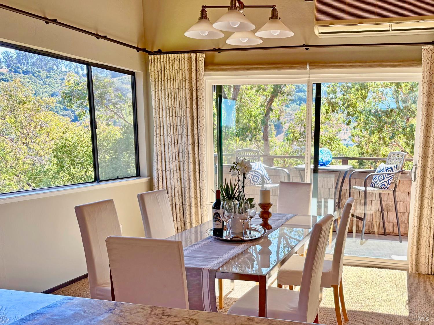 221 El Faisan Drive San Rafael CA 94903