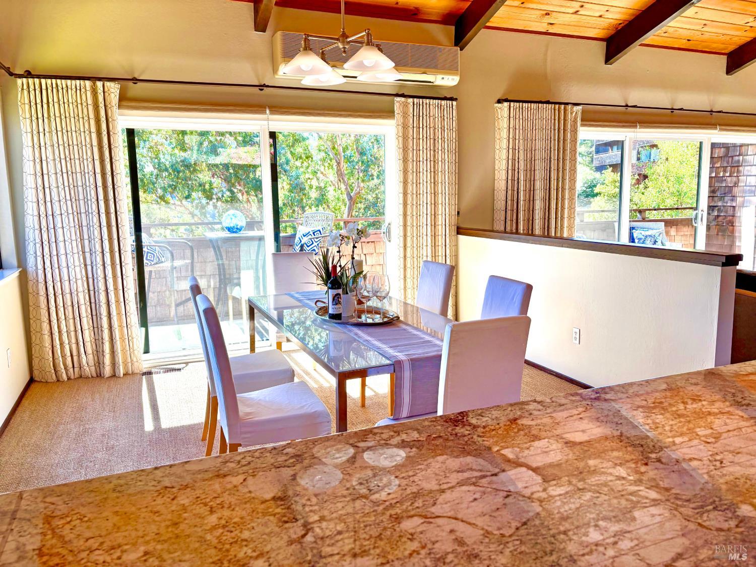 221 El Faisan Drive San Rafael CA 94903