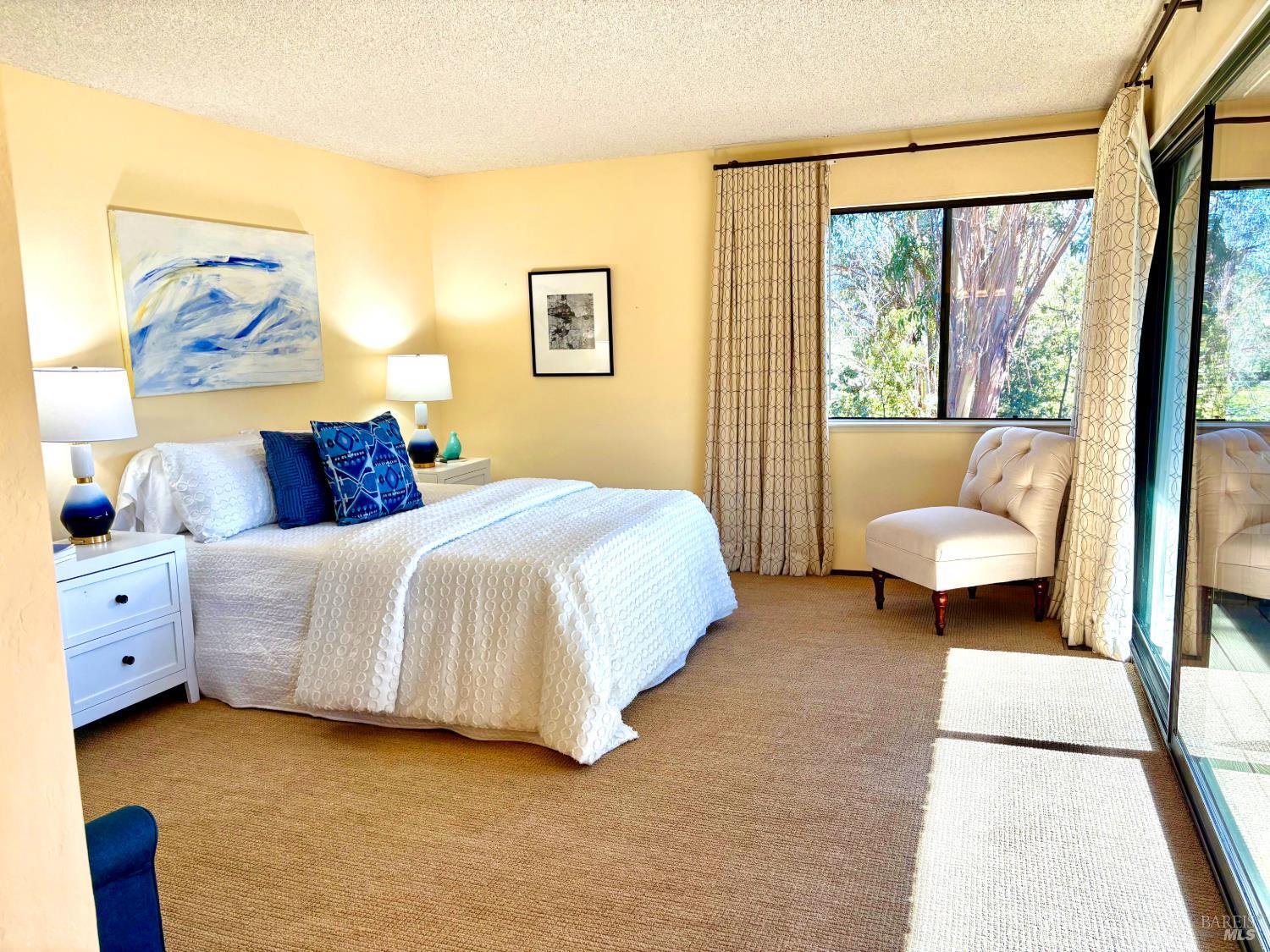 221 El Faisan Drive San Rafael CA 94903