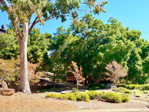 221 El Faisan Drive San Rafael CA 94903