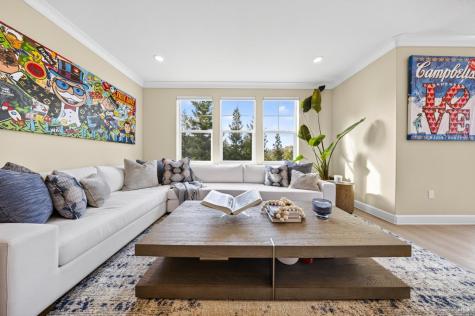 287 Camellia Circle Larkspur CA 94939