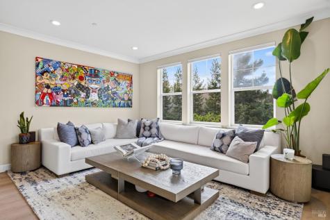 287 Camellia Circle Larkspur CA 94939