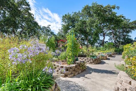 100 Thorndale Drive San Rafael CA 94903