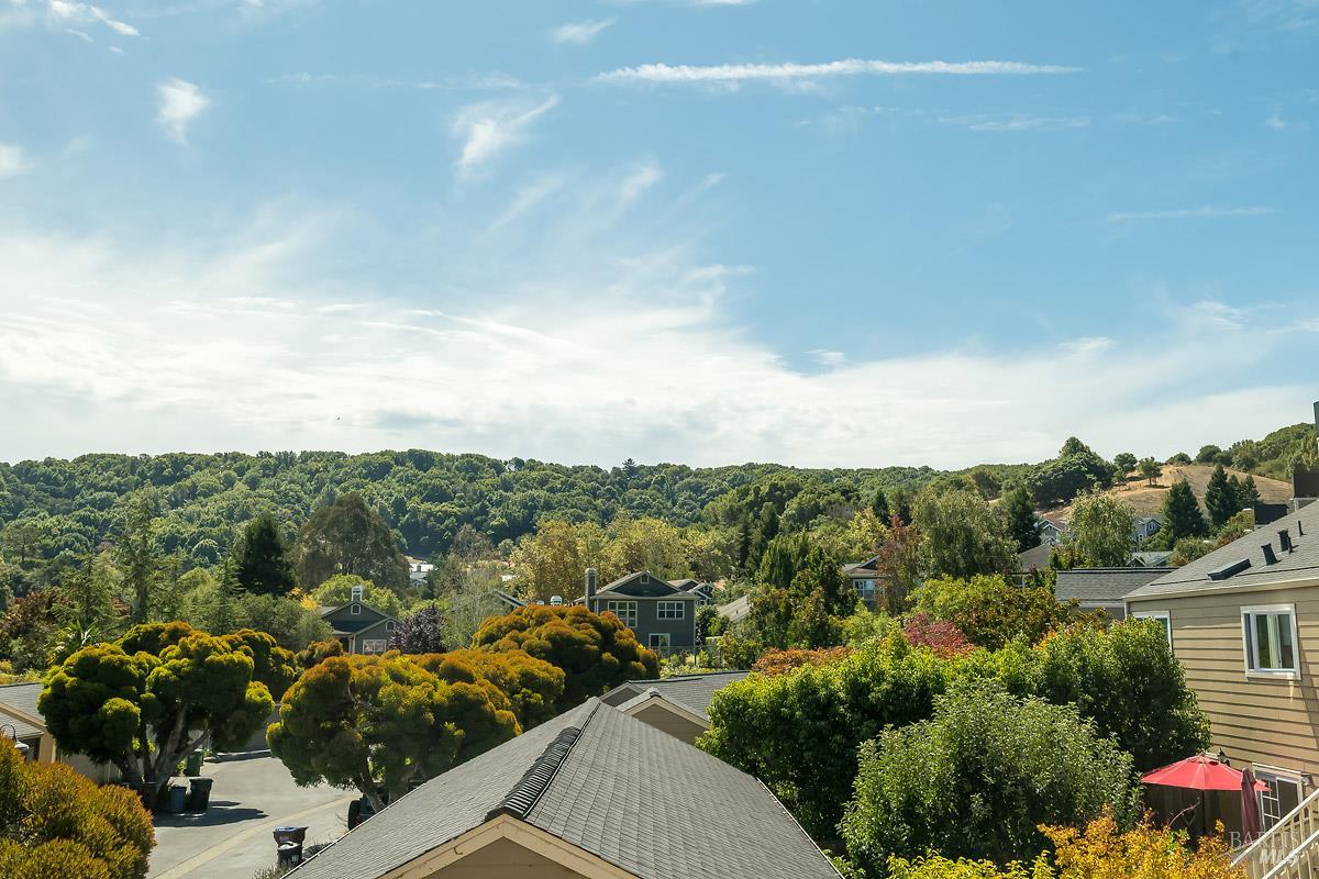 85 Parkview Circle Corte Madera CA 94925
