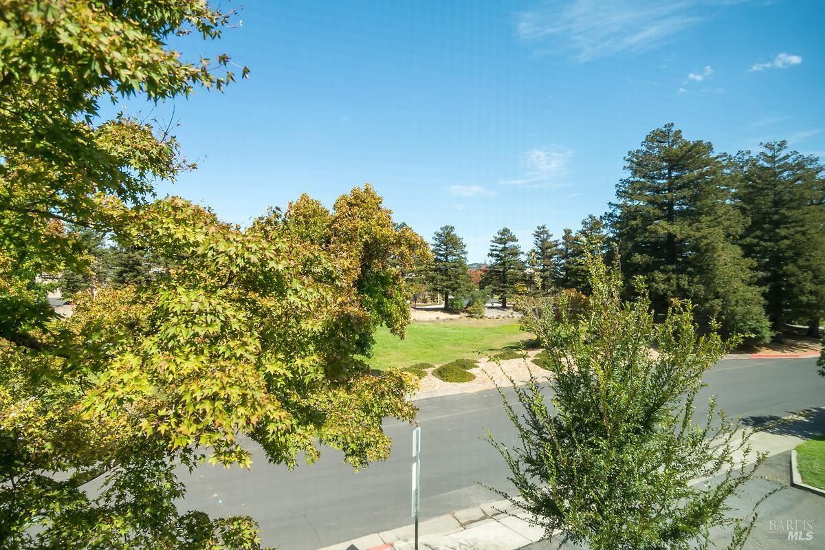 85 Parkview Circle Corte Madera CA 94925